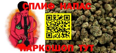 шишки Ирбит