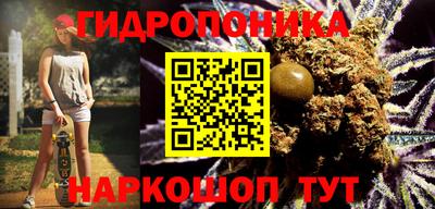 шишки Ирбит