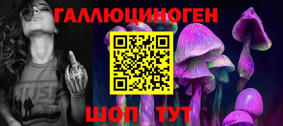 Великий Новгород  Псилоцибиновые грибы мухоморы  Вход с VPN  Псилоцибиновые грибы мухоморы 