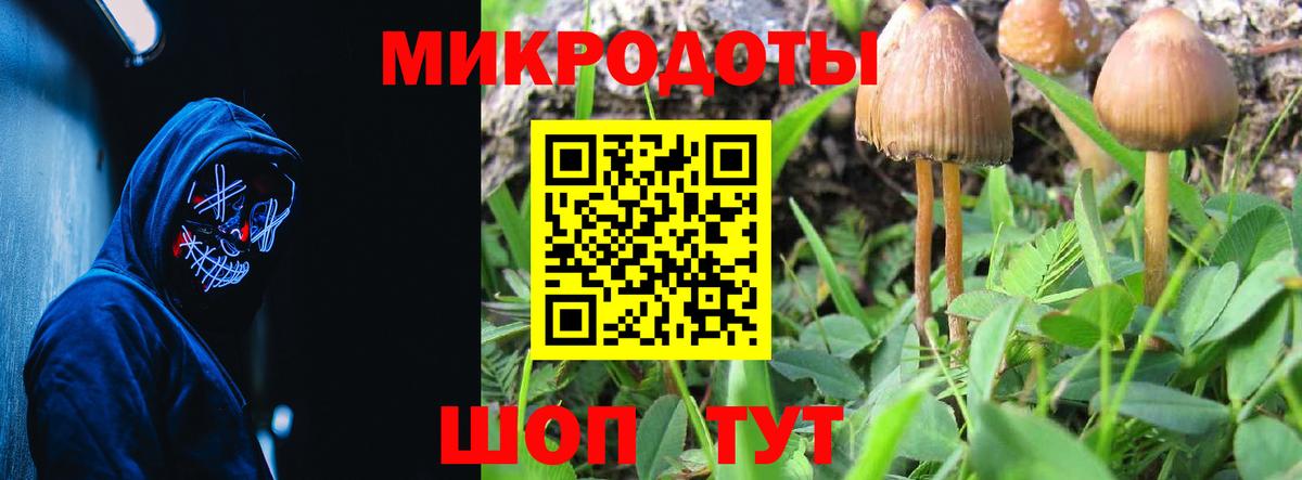 Псилоцибиновые грибы MAGIC MUSHROOMS Великий Новгород